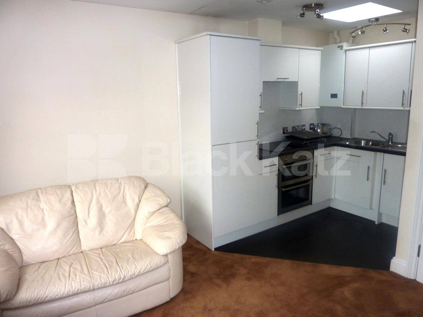 			NEW INSTRUCTION, 1 Bedroom, 1 bath, 1 reception Flat			 Grays Inn Road, KINGS X / RUSSELL SQ.